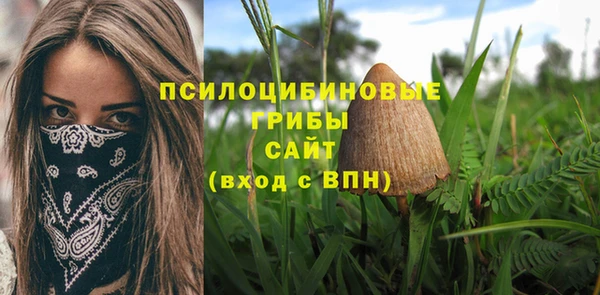 mdpv Балахна