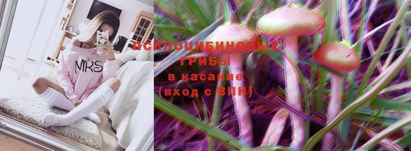 стафф Баксан